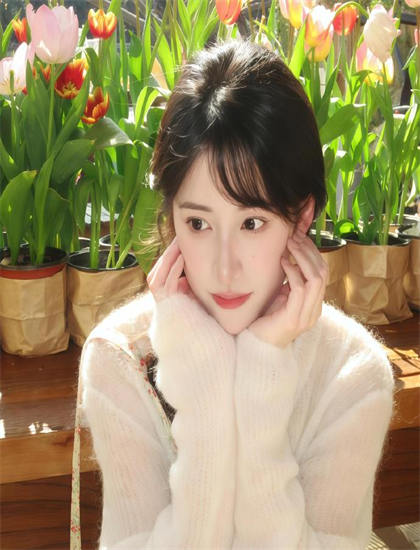 《古怪战舰》美学价值分析：艺术美感与审美特征探讨