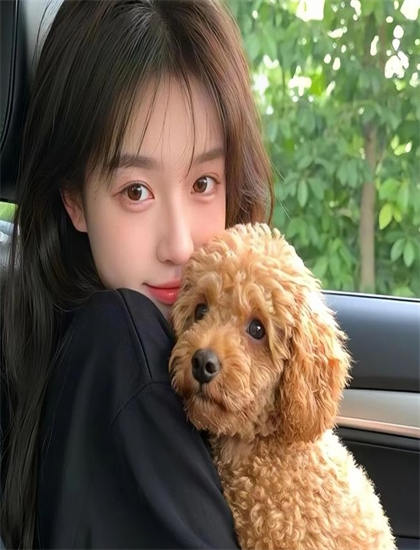 《节日祝福》有什么特别之处？独特看点与特色解析